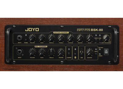 Joyo BSK-80