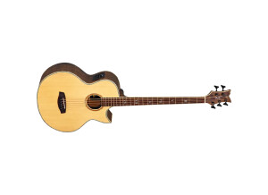 Ortega KTSM-5 Ken Taylor