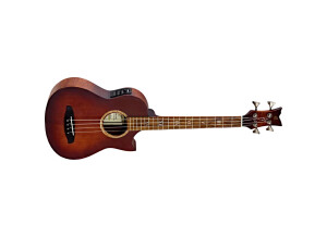 Ortega KT-Walker-V2 Ken Taylor