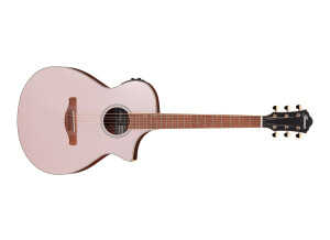 Ibanez AEWC12