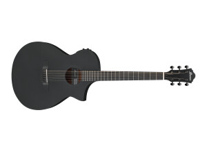 Ibanez AEWC13