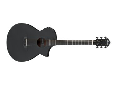 Ibanez AEWC13