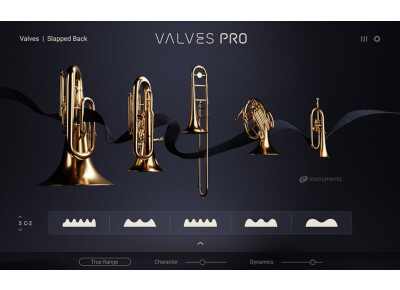 Native Instruments Valves Pro