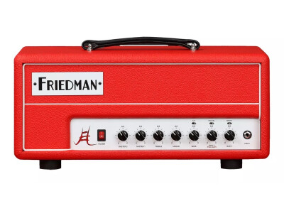 Friedman Amplification JEL-20 Head