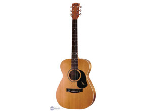 Maton EBG808TE