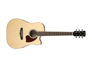 Ibanez PF16WCE