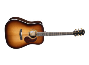 Cort Gold-D8
