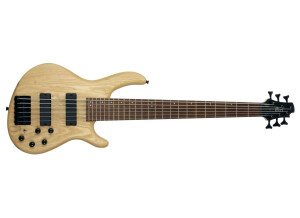 Cort Action DLX VI AS