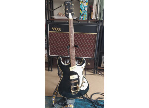 Jay Turser JT-280/Mosman