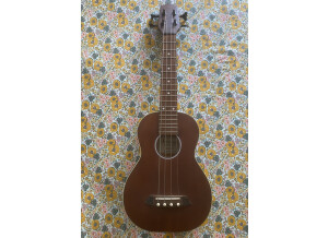 Ashbury GR35060