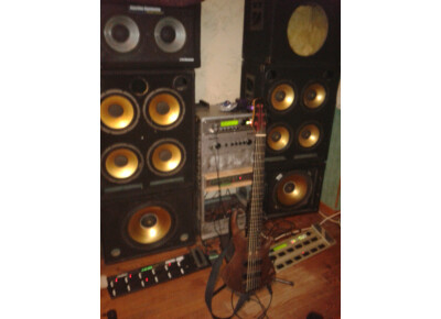 Alumabass BullFrog 4x10" et 1x15"