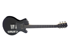 Stagg Silveray Custom
