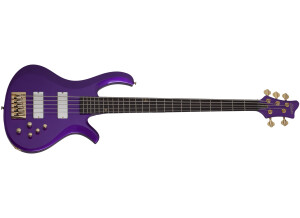 Schecter FreeZesicle-5