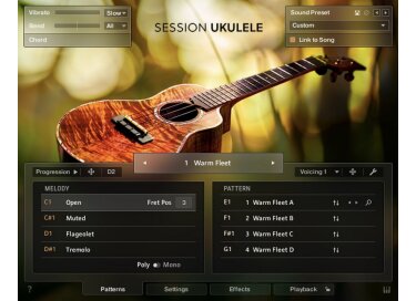 Native Instruments Session Ukulele