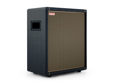 Positive Grid Spark Cab