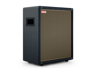 Positive Grid Spark Cab