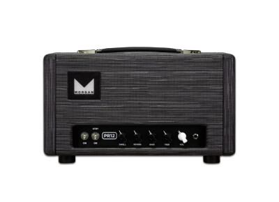 Morgan Amplification PR12 Head