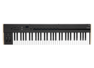 Korg Keystage 61