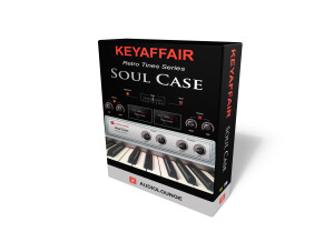 Audiolounge Soul Case