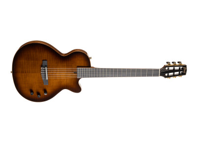 Cort Sunset Nylectric DLX