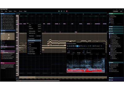 Hit'n'Mix RipX DAW PRO