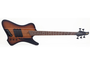 Dingwall D-Roc Standard 5-String