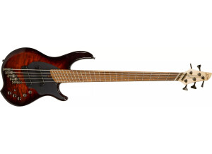 Dingwall CB2 Combustion 5-String