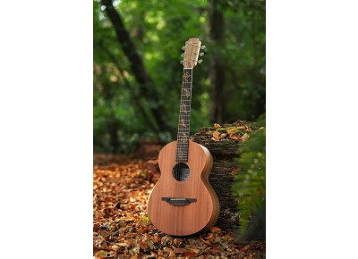 Sheeran By Lowden Autumn Variations
