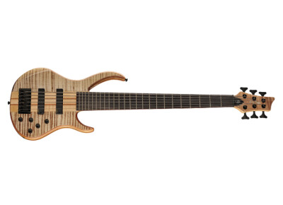 Harley Benton BZ-6000 II