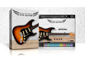Antonov Samples STR Guitar