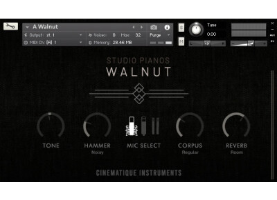 Cinematique Instruments Walnut