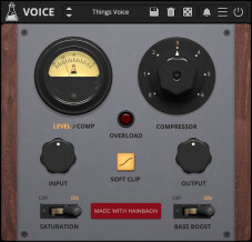AudioThing Voice