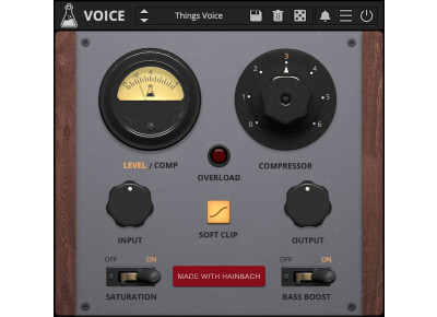 AudioThing Voice