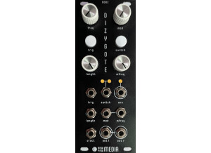 Raw Yaw Media Dizygote