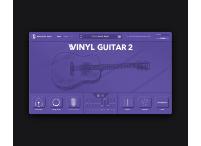 Echo Sound Works Vinyl Guitar 2