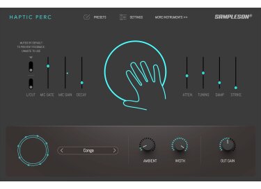 Sampleson Haptic Perc