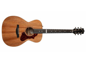 Godin Fairmount CH Composer LR Baggs Element