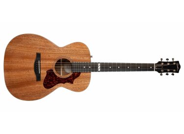 Godin Fairmount CH Composer LR Baggs Element