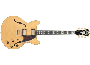 D'angelico Deluxe DC