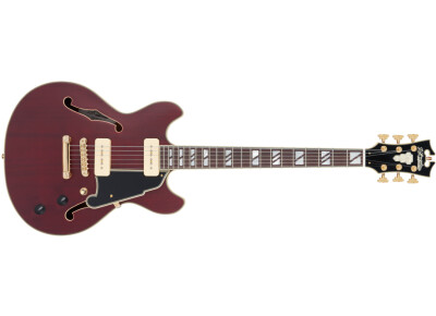 D'angelico Deluxe Mini DC