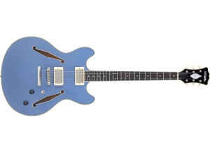 D'angelico Excel DC Tour