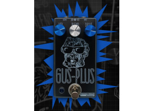 Summer School Electronics Gus-Plus