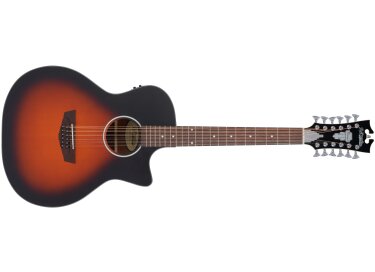 D'angelico Premier Fulton LS