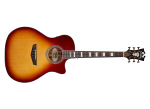 D'angelico Premier Gramercy