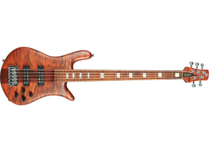 Spector Euro 5 RST