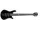 Spector NS Dimension