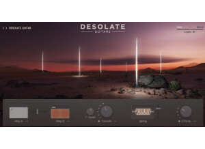 e-instruments Desolate Guitars