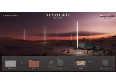 e-instruments Desolate Guitars