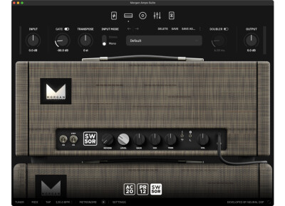 Neural DSP Morgan Amps Suite