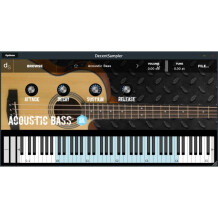 Autodafe Acoustic Bass